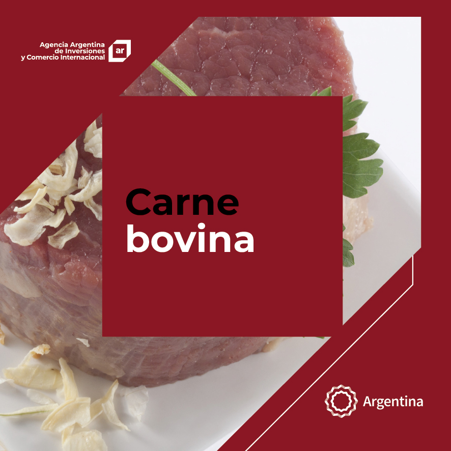 https://www.exportar.org.ar/images/publicaciones/Oferta exportable argentina: Carne bovina