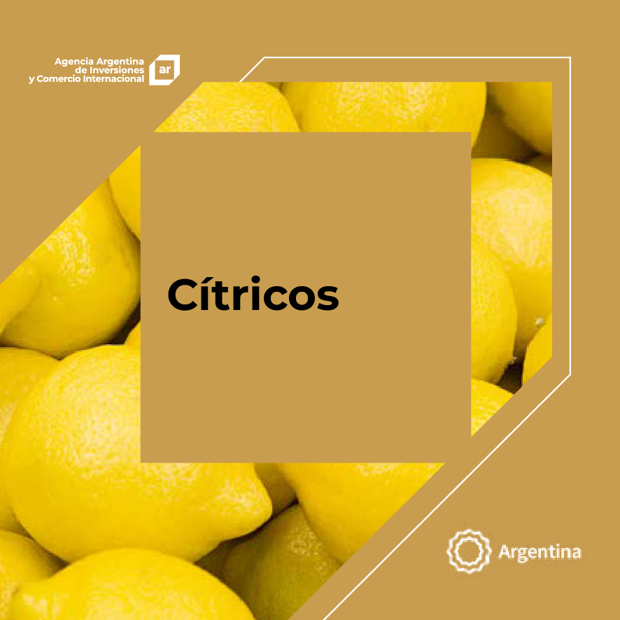 https://www.exportar.org.ar/images/publicaciones/Oferta exportable argentina: Cítricos