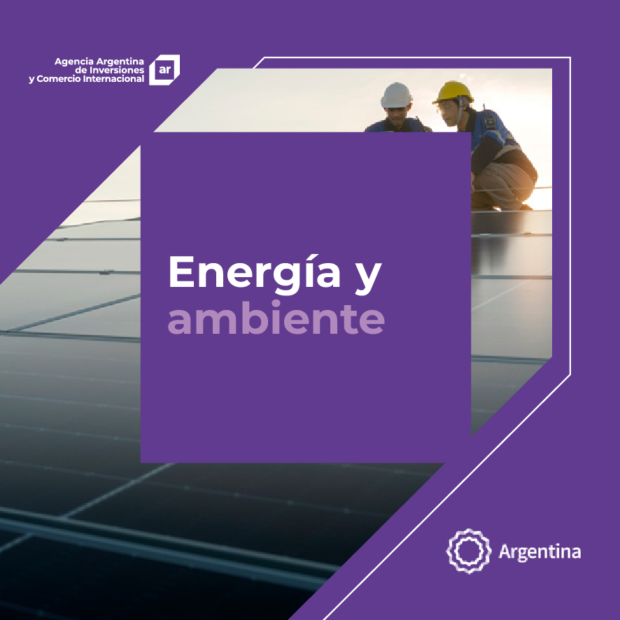 https://www.exportar.org.ar/images/publicaciones/Oferta exportable argentina: Energía y ambiente