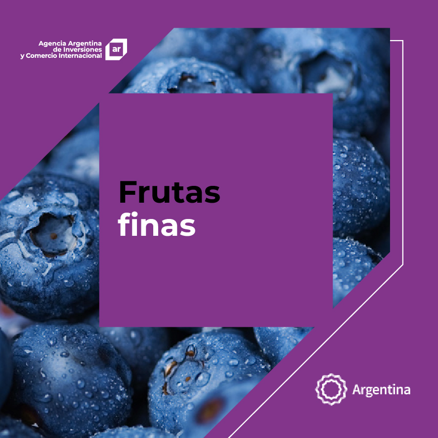 https://www.exportar.org.ar/images/publicaciones/Oferta exportable argentina: Frutas finas