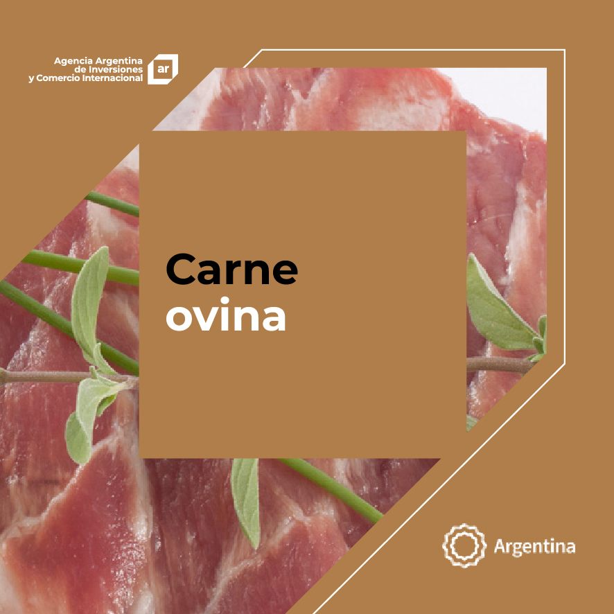 https://www.exportar.org.ar/images/publicaciones/Oferta exportable argentina: Carne ovina